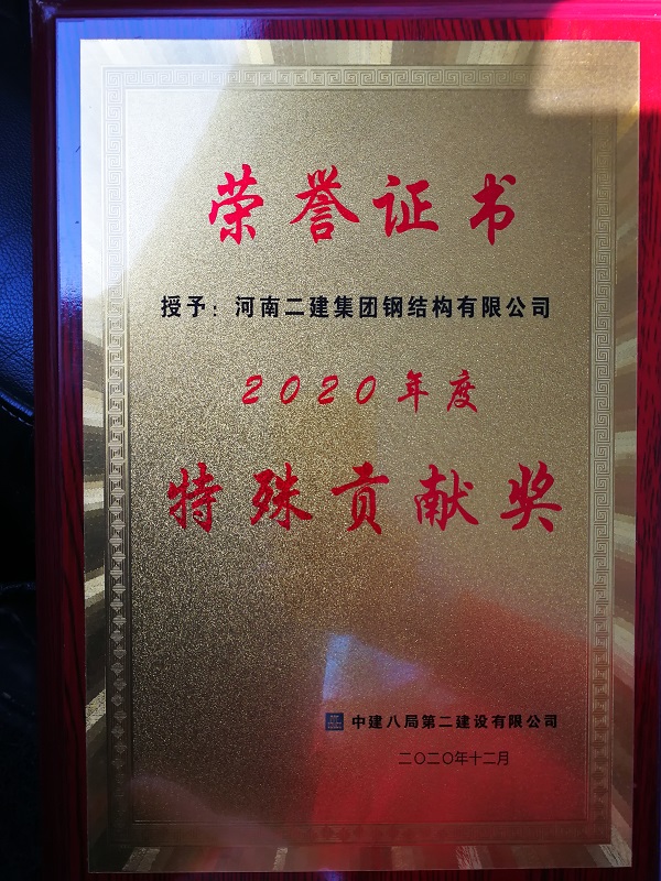 特殊貢獻獎榮譽證書 - 副本.jpg